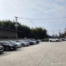 들꽃풍경 | 담양 대형카페 ) 담양 들꽃숲 역대급 규모 카페 걸어가다 지친 후기