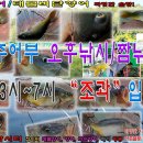 20240808 파주 삼방낚시터 대물향어, 향어, 메기 입질/챔질/랜딩 인증샷 올립니다. 훌륭한 조과 소식입니다. 이미지