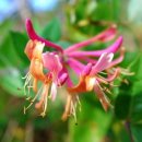 인동농장 이미지