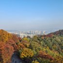 남산공원 | 가을 남산공원 산책 후기｜남대문 먹거리 + 도심 힐링 코스 추천