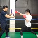 정일복싱 이미지