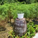 리버972 네이버블로그