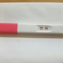 세종프라우메디산부인과의원 이미지