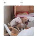 시즌커피앤베이크 이미지