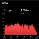 첫 단식 대회 참가 후기, 테니스와 몸(인바디), 나이 등등에 관하여.