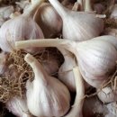 수하농장 이미지