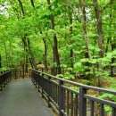 불암산나비정원 이미지