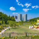 수원-1449 티스토리
