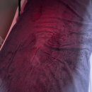 지당한의원 | 나의치료 보따리🌸원적외선 온열요법 : ) 지당한의원