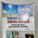 로페코 | 단열시트 로페코 다마거시트 사용 후기 겨울 보온 여름 방한까지 완벽!