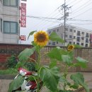 글로리 행정사 사무소 이미지