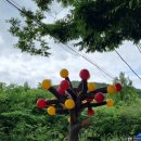 경북 주왕산국립공원, 소노벨 청송, 포항 보경사