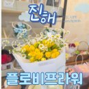 장미로30번길 | 꽃집 추천] 감성 가득한 진해이동꽃집 ‘플로비플라워’에서 노란 프리지아 꽃다발 후기 (창원꽃배달 가능)