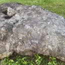 송정리 고인돌 이미지