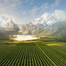 컴인하우스 이미지