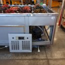 우성수리 이미지