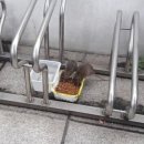 추경농장 이미지