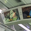 미인(Me in)모텔 | : 1학년은 놀아도 괜찮아