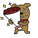 다비치렌즈 라이트 빅플 브라운 실착 내돈내산 후기 🤎 빅직경 렌즈 추천