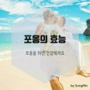 포옹 Daum카페