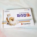 고양이 내부구충제 파라캅, 고양이 알약먹이기 실패&amp;성공담