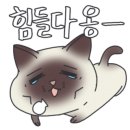 교동면옥 사동점 이미지