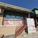 나뭇잎공부방 | [남양주 나들이 시리즈 ②] 공룡만 보고 가면 섭섭한 곳! 알찬 야외 체험 시설 총정리 🌱✨