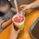 성인오락실 | 아이와 함께 곤지암리조트 제주스커피/루지/오락실 즐기기 내돈내산 후기