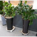 종암한의원 이미지