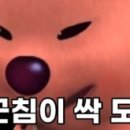 써니사이드업 이미지