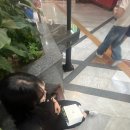 담양수퍼 | 담양 여행기 ꉂꉂ(⌯˃̶᷄ ꈊ˂̶᷄⌯) / 죽녹원 / 전라도