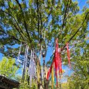 한국교회 경로식당 | 용인 한국민속촌 평일 방문 후기｜놀이동산 느낌