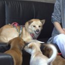 진상농장 이미지