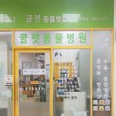 쿨펫이마트 목동점 동물병원 이미지