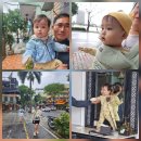 비젼세탁 | 일 (440일차) 아기랑 부모님과 해외여행 다낭 3일차 - 피비텔다낭조식, 비젼교회, 한시장, 롯데마트