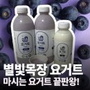 데일리목장 | 산미없는 부드럽고 꾸덕한 마시는 요거트 : 별빛목장 블루베리 요거트와 플레인 요거트!