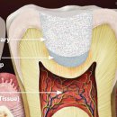 휴플란트치과의원 이미지