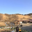 다정목장 | 평창 아이와 가볼 만한 곳_대관령 양떼목장 겨울 먹이주기 체험 후기