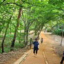 수리산 임도오거리 화장실 이미지