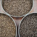 바리스타(창업) 이미지