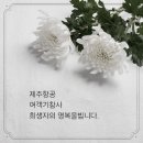 사랑의 찬가 / 너무도 아름다운..그러나 이미지