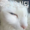 소풍캠핑장 이미지