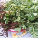 선학초등학교 이미지