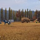 은행나무길 화장실 이미지