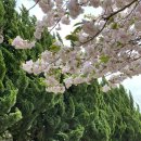 진평프라자 이미지