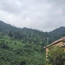 핫워시카 | 다낭 우기 여행 대체코스! 누이탄타이 핫스프링파크 + 바나힐 동선 공유