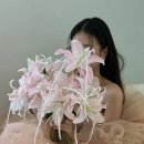 네일드레스 네이버블로그