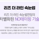 리즈라인
