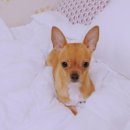 화랑유치원 이미지