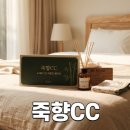 담양다이너스티컨트리클럽 | 전남 담양 죽향CC 노캐디 2인 라운드 예약부터 코스 특징 비교